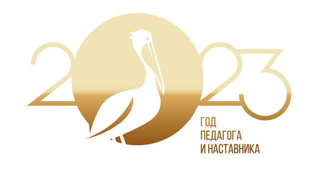 Год педагога и наставника в ДОУ. Год педагога и наставника в ДОУ.