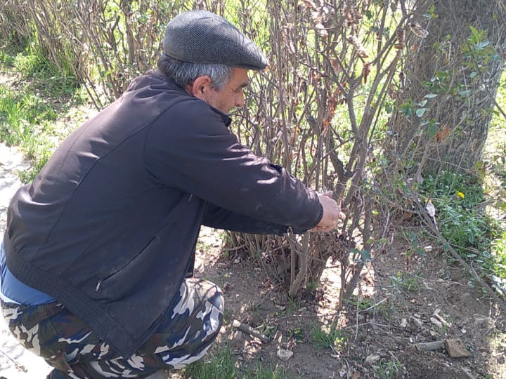 24 апреля-Всероссийский субботник 24 апреля-Всероссийский субботник