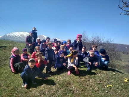 История детского сада