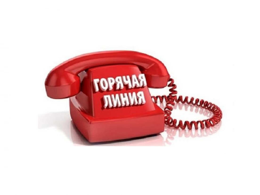 Горячая линия Горячая линия