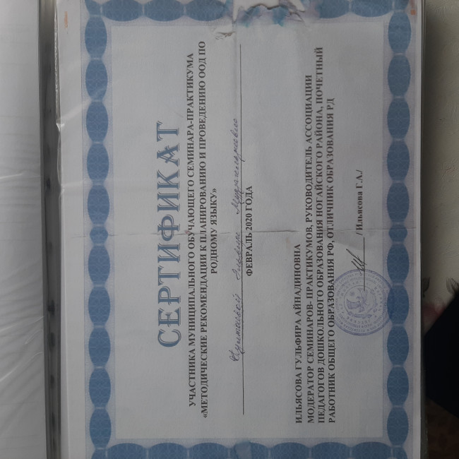 Мои достижения