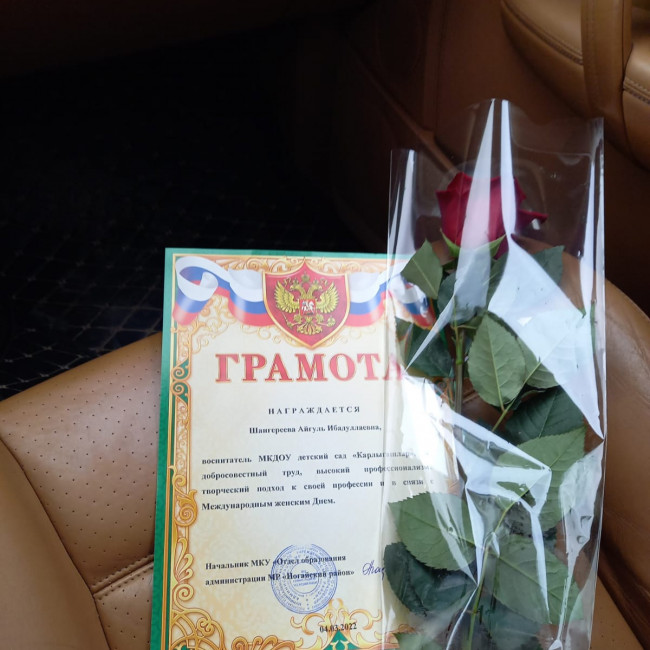 Мои достижения