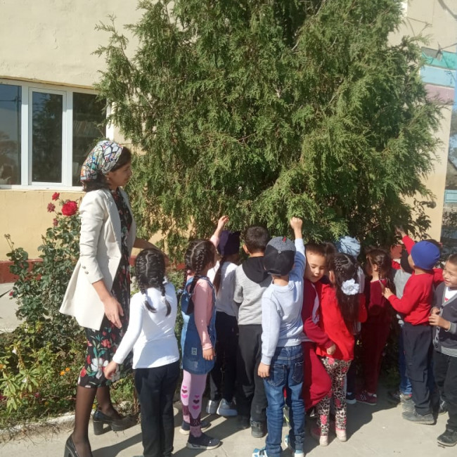 Фотогалерея