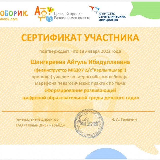 Мои достижения