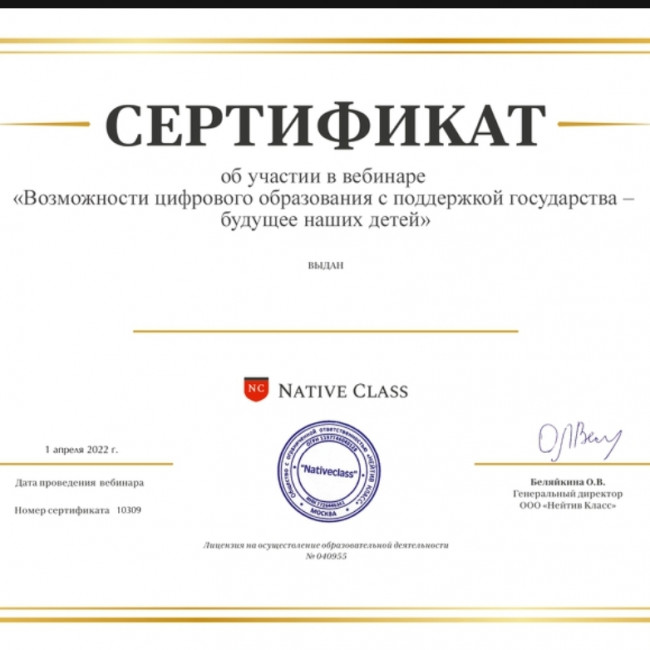 Мои достижения