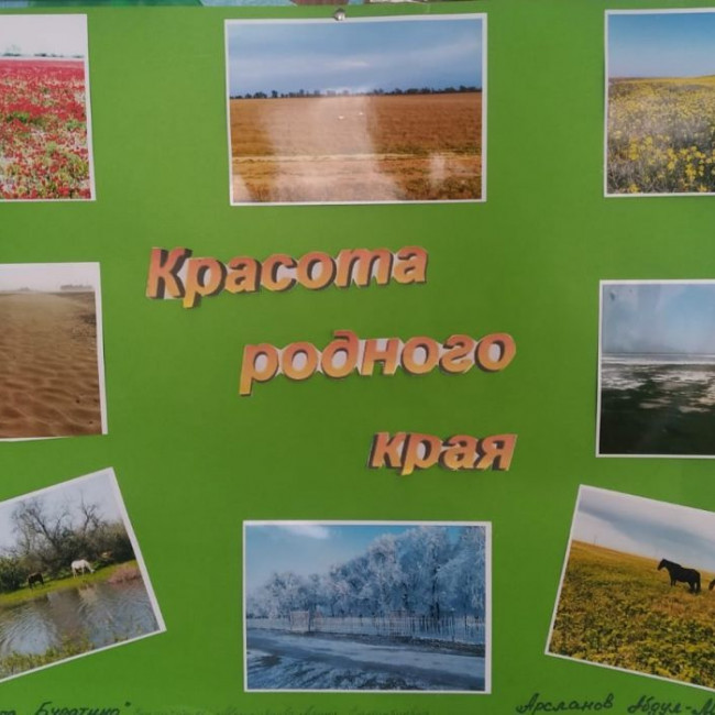 Фотовыставка "Красота родного края"