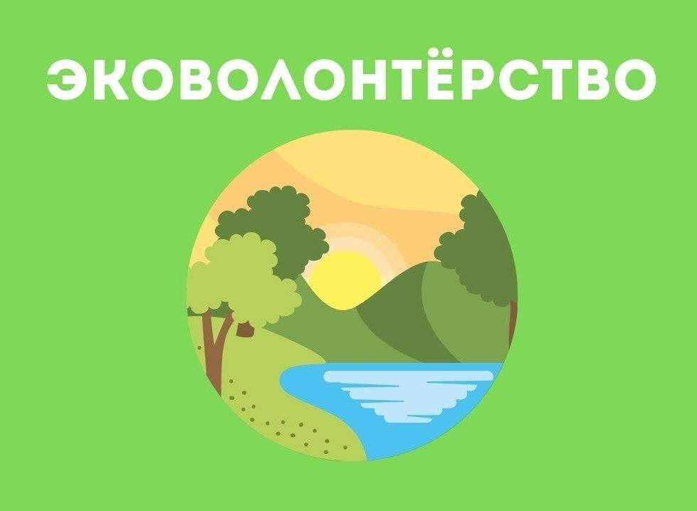 Интерактивный курс "Дневник эковолонтера" Интерактивный курс "Дневник эковолонтера"