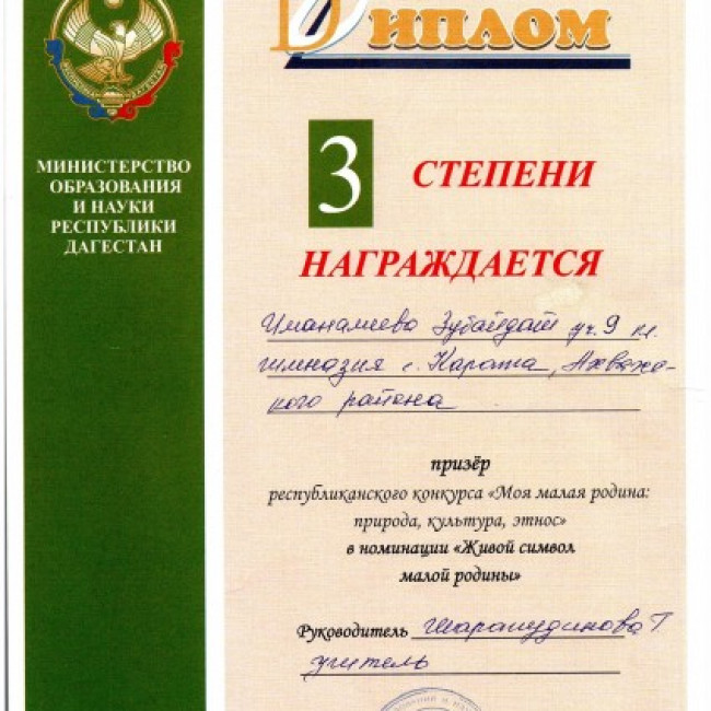 Достижения