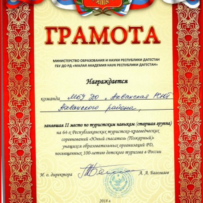 Достижения