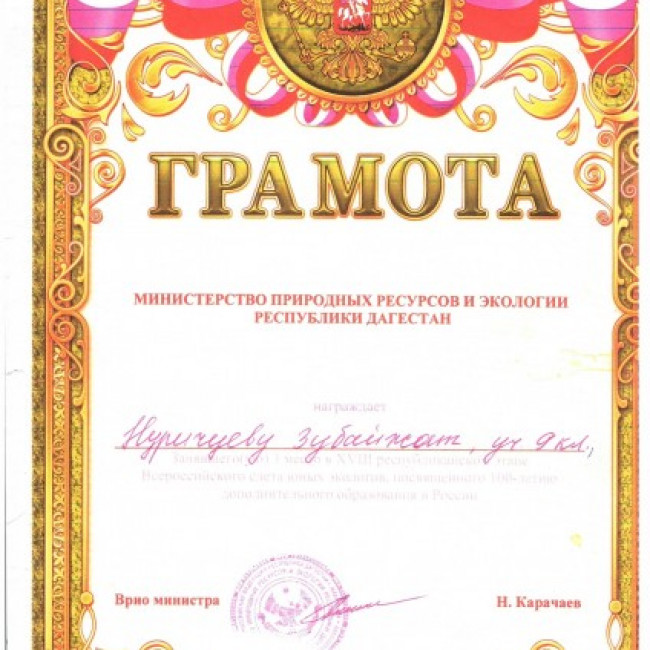 Достижения