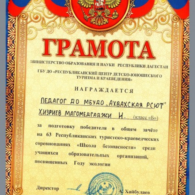 Достижения