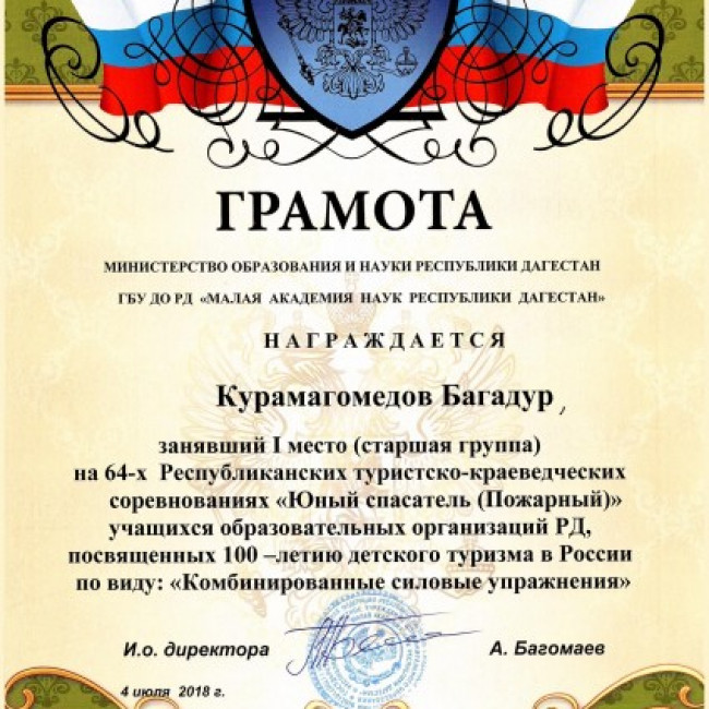 Достижения