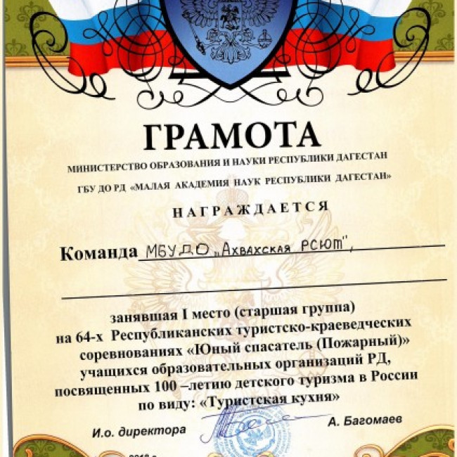 Достижения