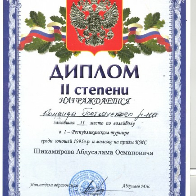 Достижения