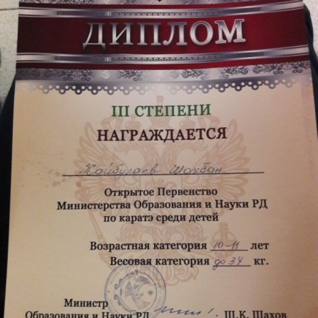 Достижения