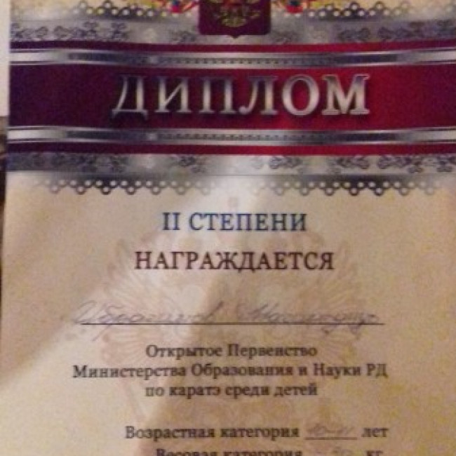 Достижения
