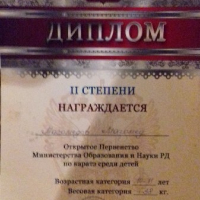 Достижения