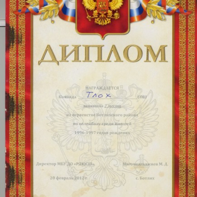 Достижения