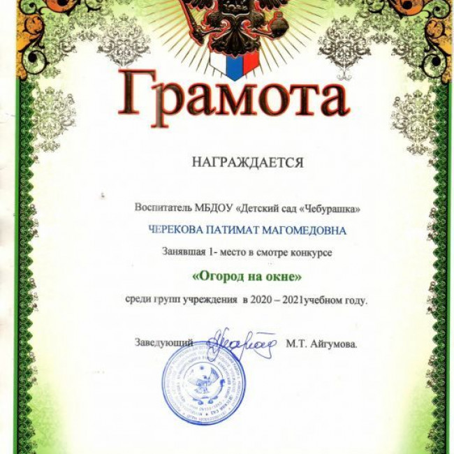 Мои достижения