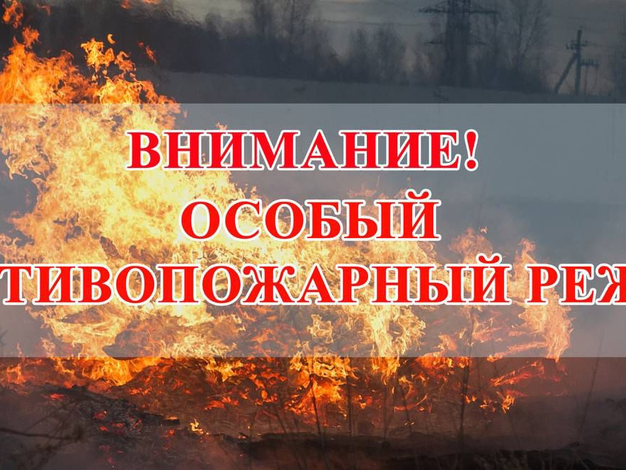 Об установлении особого противопожарного режима 2025