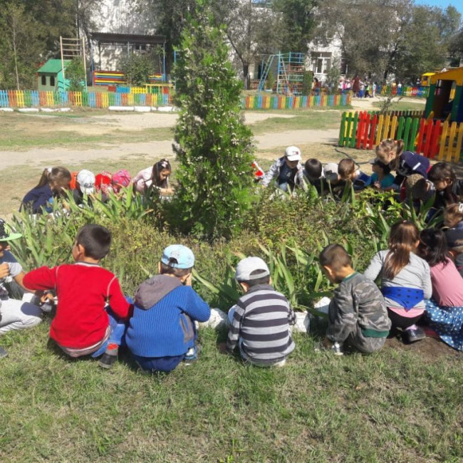 Старшая группа А "РОМАШКИ"