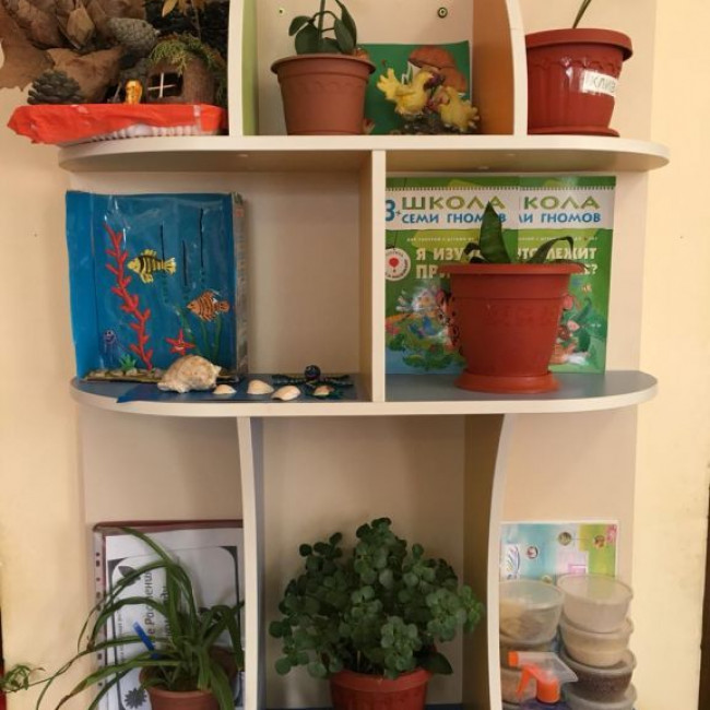 Старшая группа В