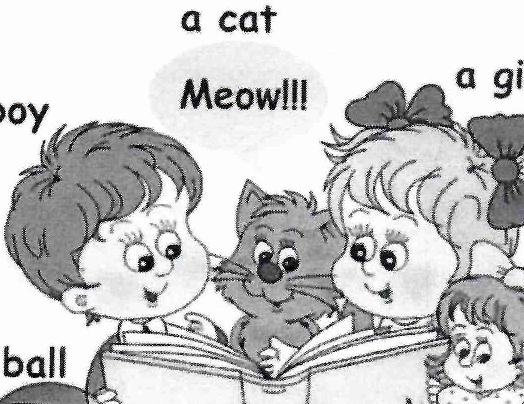 Дополнительное образование