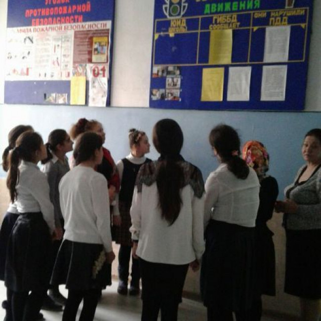 Безопасность дорожного движения