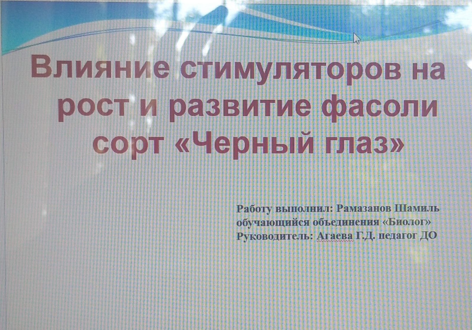 Проект