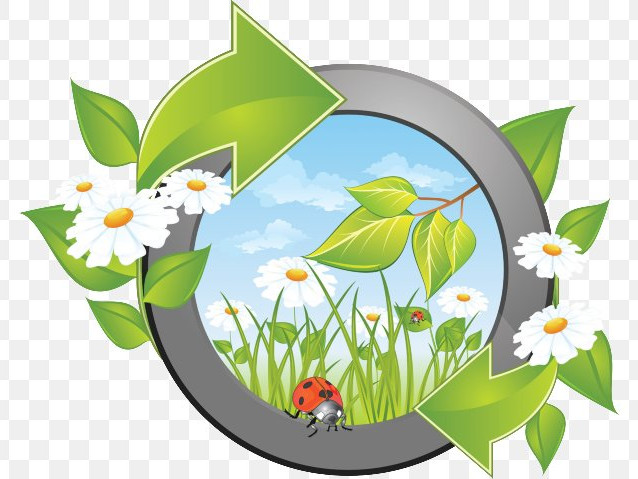 Добро пожаловать на наш сайт!