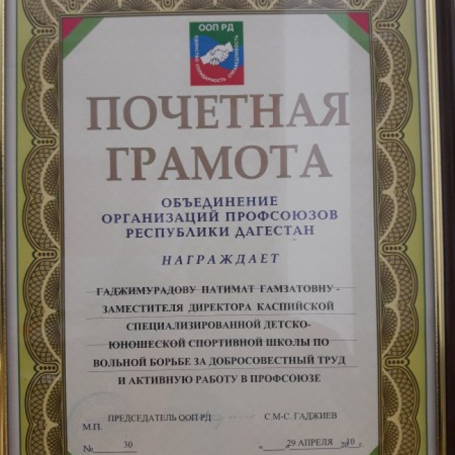 Достижения