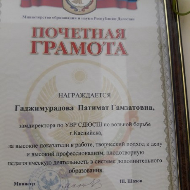 Достижения