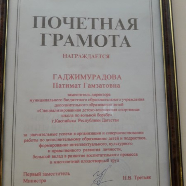 Достижения