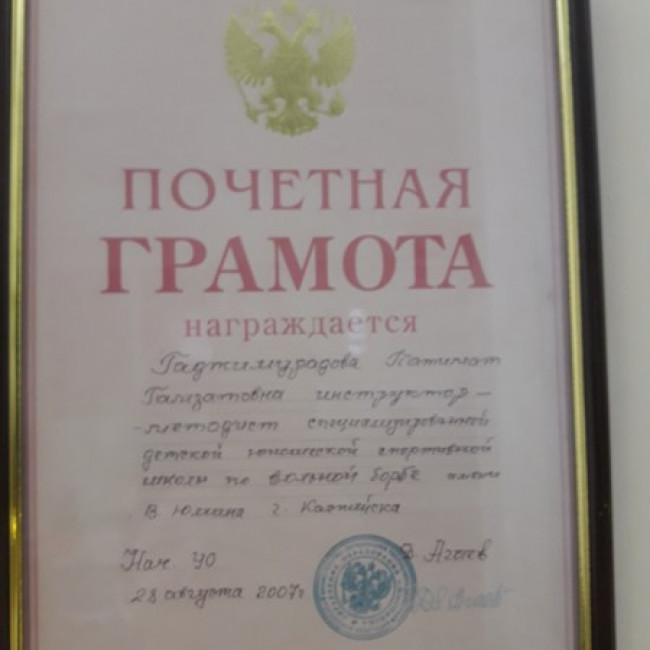 Достижения