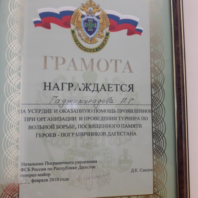 Достижения