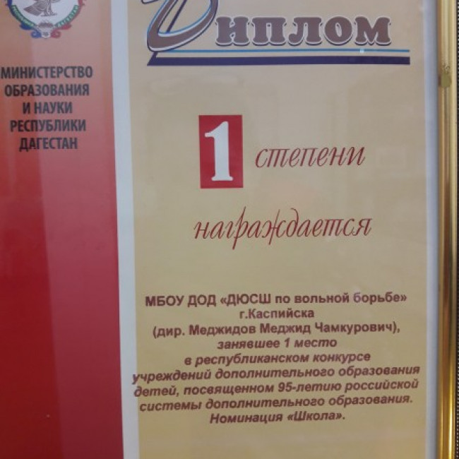 Достижения