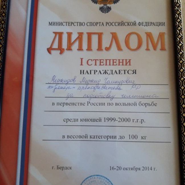 Достижения