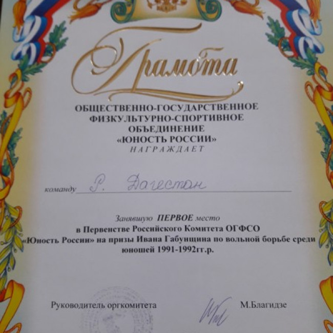 Достижения