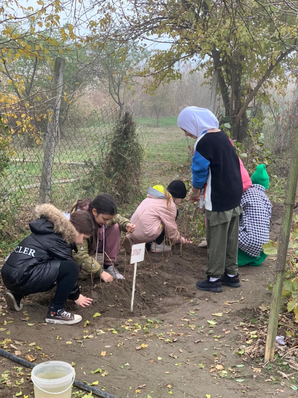 Объединение "Виноградари