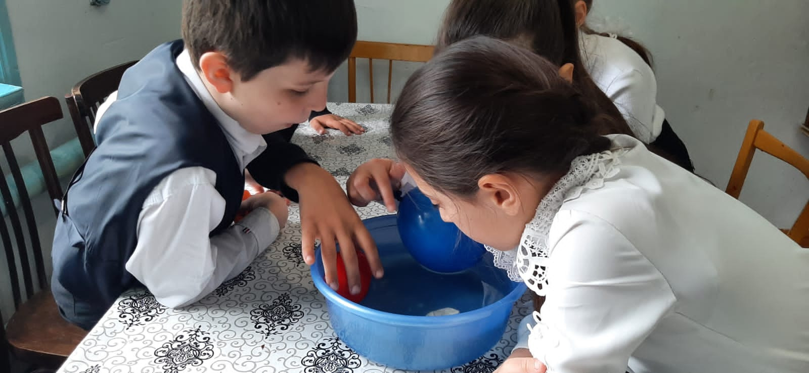 Объединение "Юные аквариумисты"