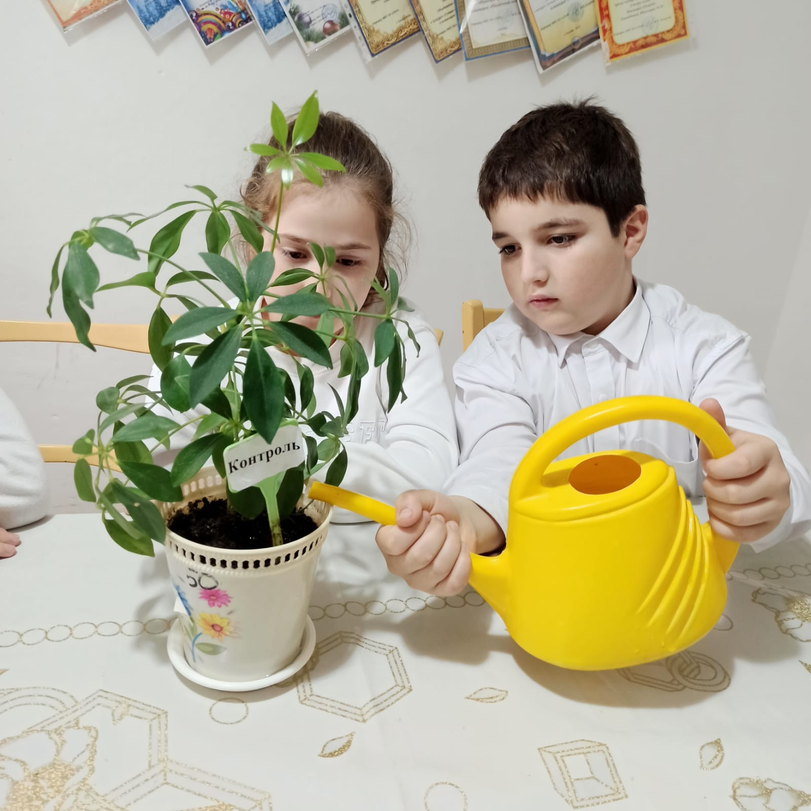 Объединение "Экодизайн"