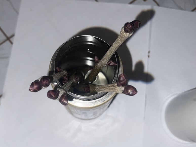 Объединение "Ландшафтный дизайнер"