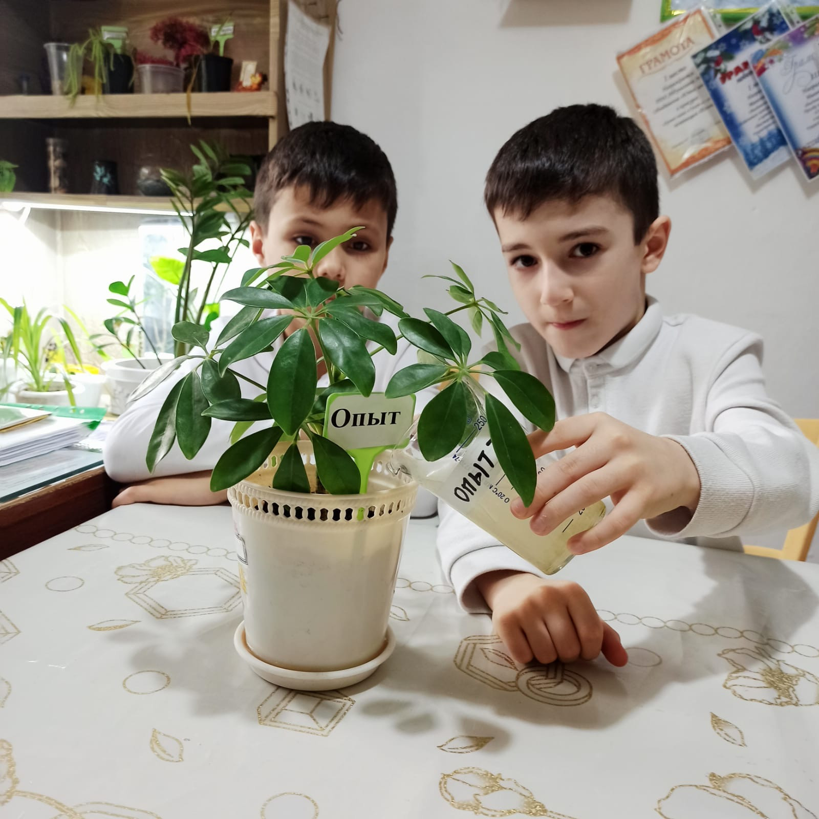 Объединение "Экодизайн"