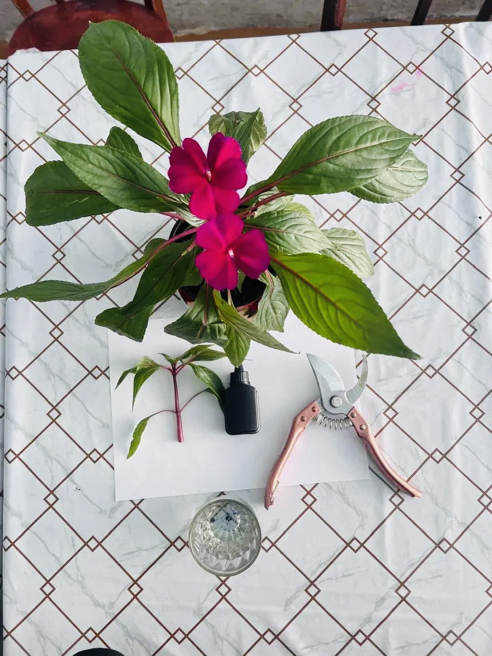 "Ландшафтный дизайнер"