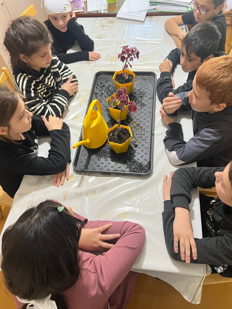 Объединение "Ландшафтный дизайнер"