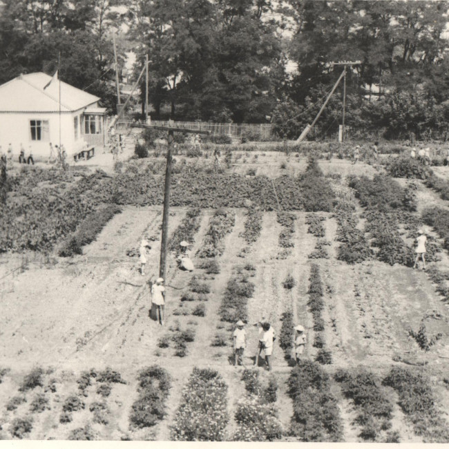 История Кизлярской станции юных натуралистов