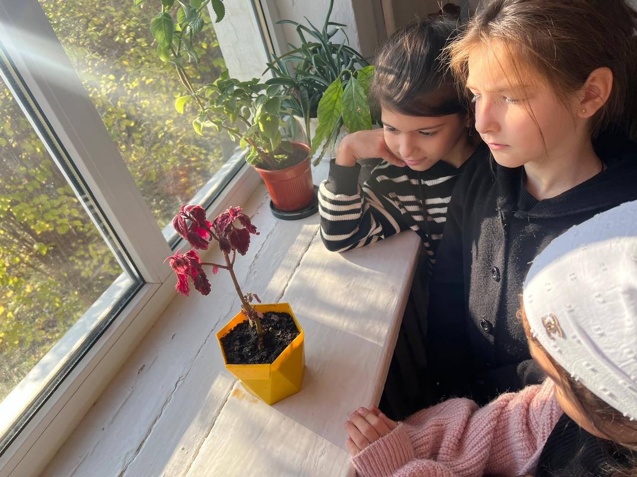 Объединение "Ландшафтный дизайнер"