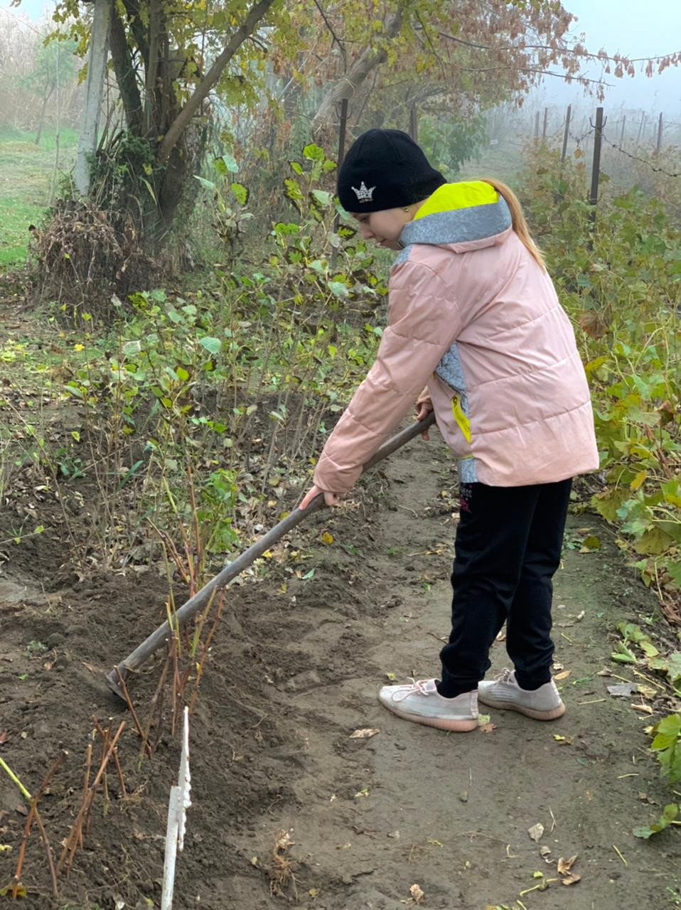 Объединение "Виноградари