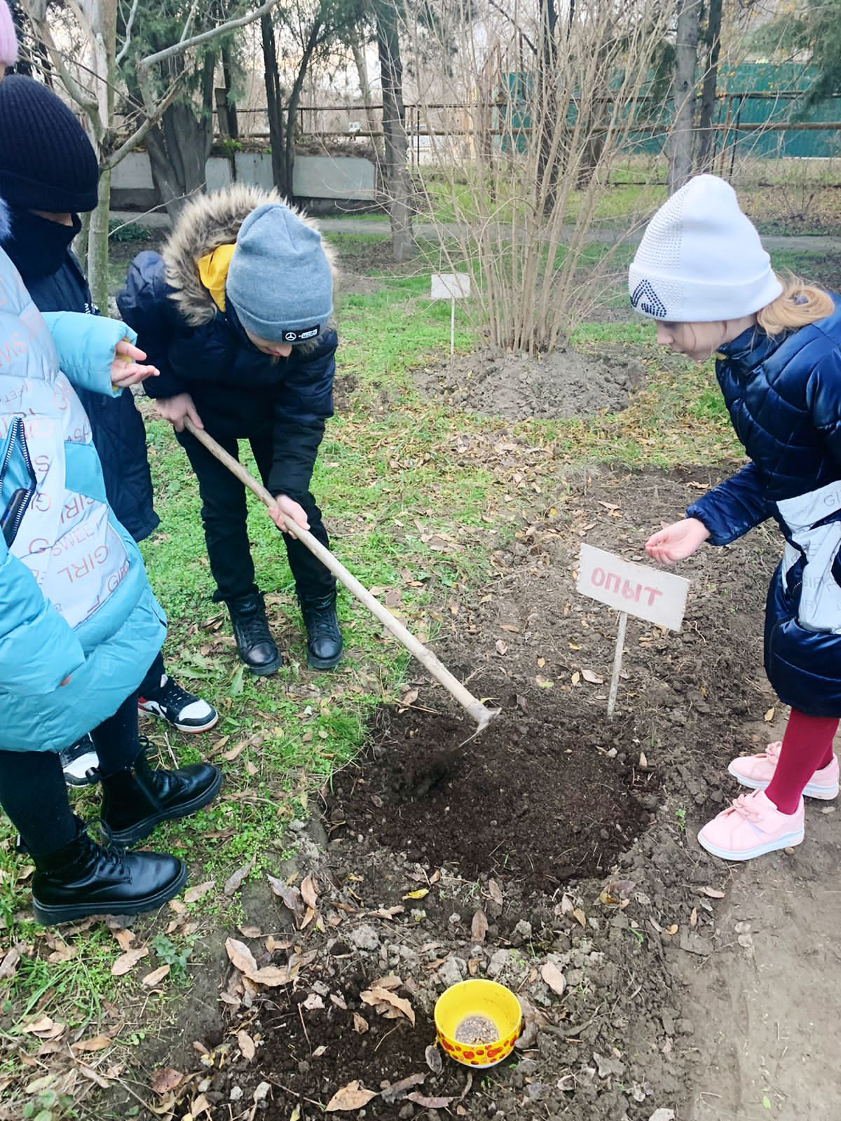 Объединение "Лесоводы"