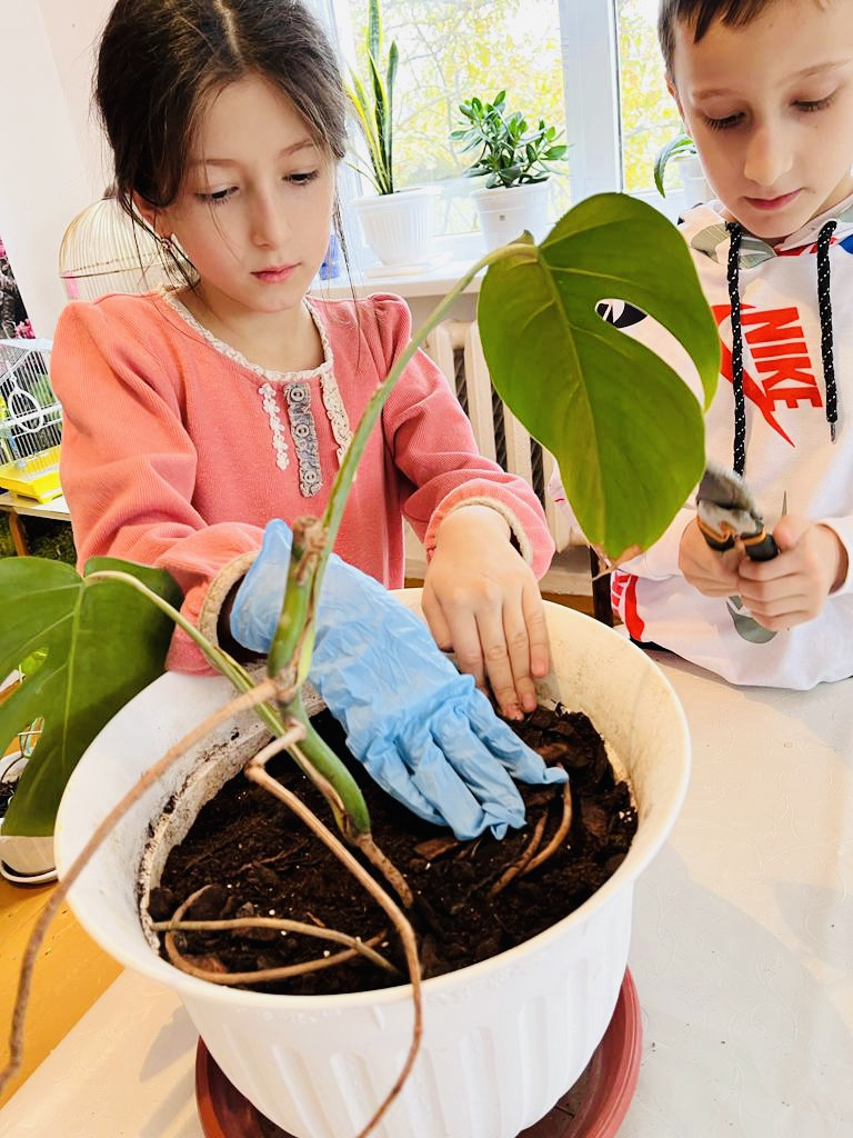 Объединение "Охрана природы" Объединение "Охрана природы"